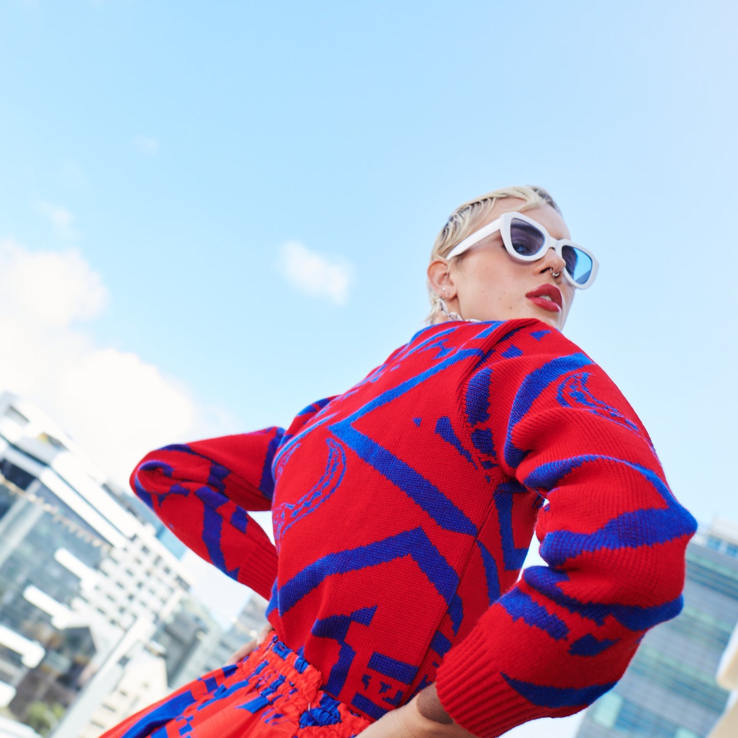 Red & Blue Printed Knitwear Jersey